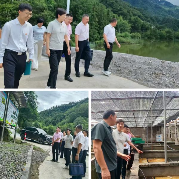 省地質(zhì)院赴譚村村調(diào)研鄉(xiāng)村振興工作